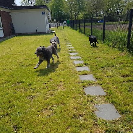 Hotel Am Schlosspark Herten Herten  Eksteriør billede